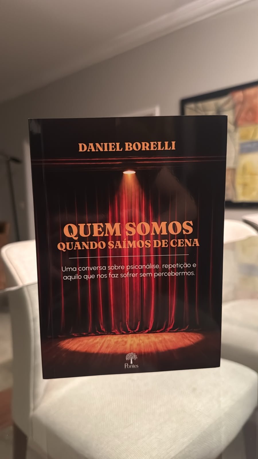 Livro Quem somos quando saímos de cena, de Daniel Borelli